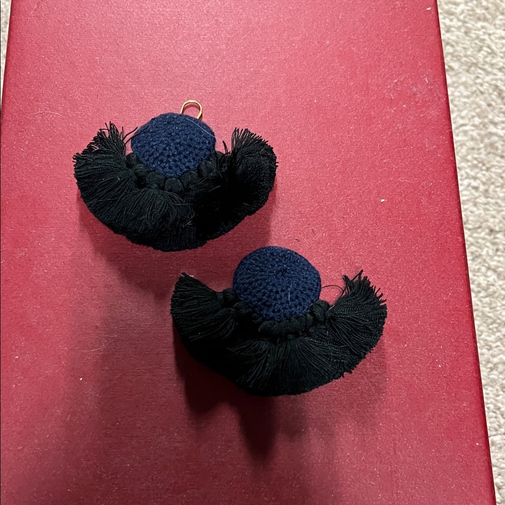 Elegant Black Tassel Earrings